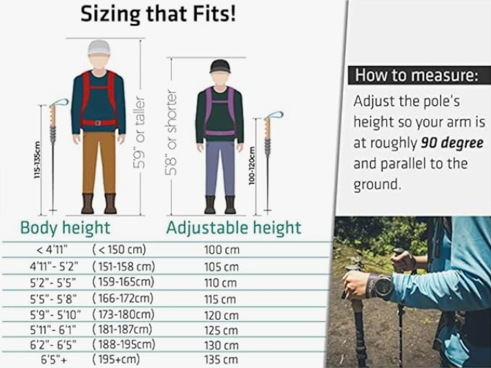 Trekology Trek-Z Collapsible Hiking & Trekking Poles